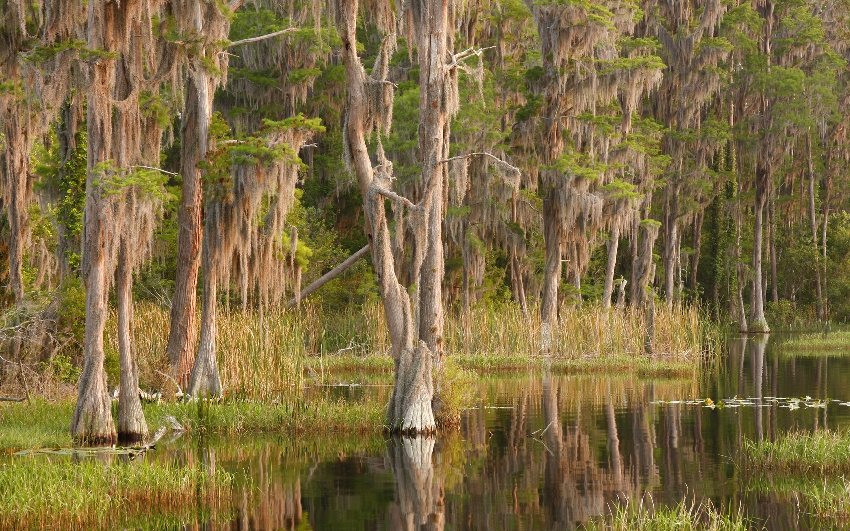 June Trivia: What Lake County Lake is Steeped in Florida History?